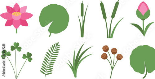 Collection of flat aquatic plants and foliage including lotus flower lily pads cattails and clover
