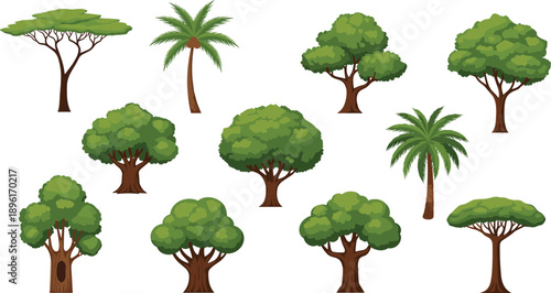 Vector set of African savanna trees featuring acacia and palm plants with lush green foliage for nature landscape design isolated on white background.