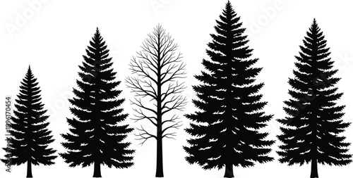 Black evergreen pine tree silhouette set with bare winter tree, coniferous forest spruce fir timber wood vector illustration for nature,