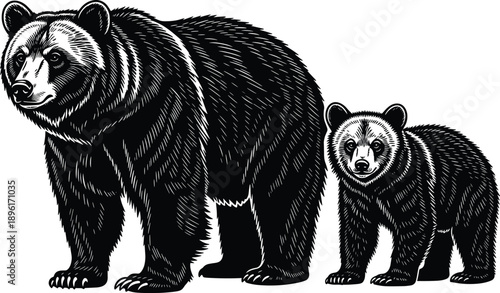 Grizzly bear and cub woodcut style illustration, wild animal family forest wildlife, mother bear with baby nature graphics.
