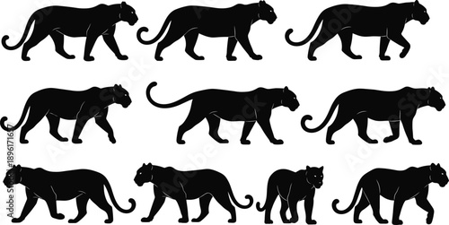 Panther walking silhouette sequence, feline motion study, animal gait cycle, black panther poses, animation reference, biomechanics illustration