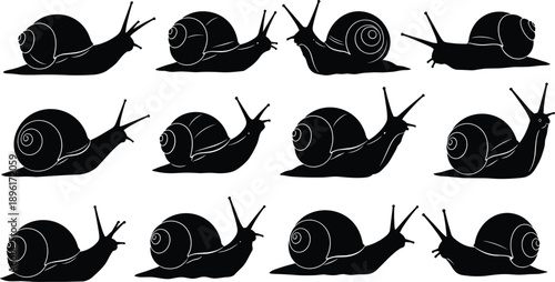 Snail silhouette illustration set, crawling gastropod poses collection, isolated mollusk animal vector design on white background