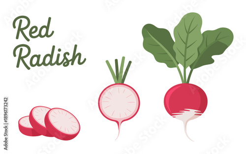 Red radish vegetable with green leaves and slices on white background
