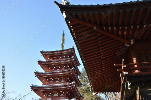 本土寺　鐘楼から眺める五重塔(千葉県松戸市)