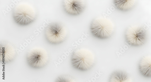 White fluffy dandelion seeds scattered pattern background