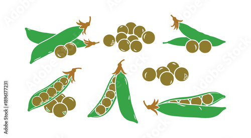 Group of peas standing alone on a white surface. Flat vector art

