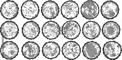Abstract wood tree ring cross section pattern set isolated on white background for forestry growth analysis natural texture design circular radial scientific illustration