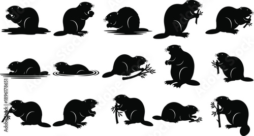Beaver silhouette vector set, black animal poses, wildlife illustration, nature clipart, chewing branches, swimming, standing, forest rodent graphics, behavior study