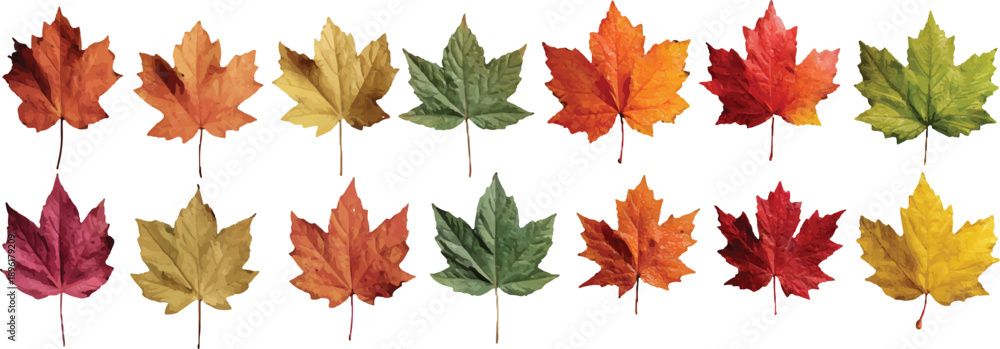 Fototapeta premium red and yellow autumn leaves