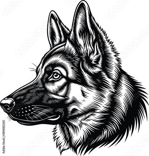 German shepherd dog head illustration detailed black and white line art vector realistic animal portrait design
