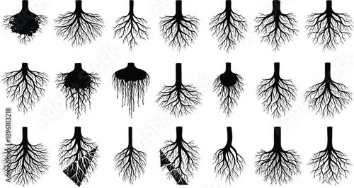 Lung silhouette variations, medical anatomy illustration, pulmonary health concept, respiratory system design, bronchial tree patterns, disease 