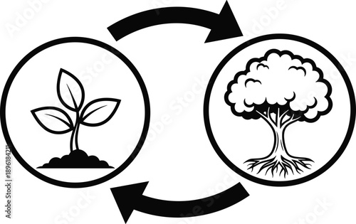Plant growth cycle illustration, seedling to mature tree, circular arrows, ecology concept, sustainability, development stages, black and white vector icon