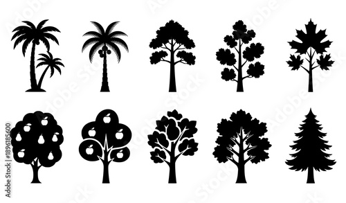 Minimal tree silhouette vector bundle of palm fruit and forest trees for nature graphics