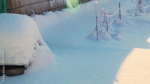 Tranquil winter scene in a snowy garden orchard: fruit trees heavy with snow, branches glistening under soft sunlight. Bare apple, pear, and cherry trees stand majestic against a pristine white blanke