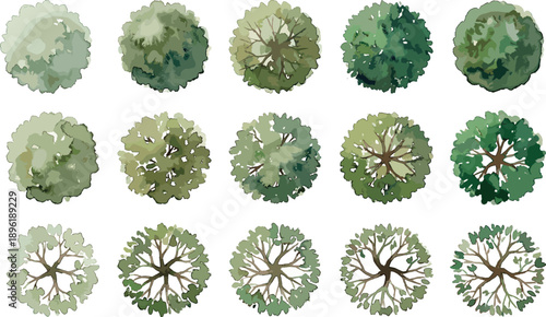 Top view abstract tree canopy set showing seasonal foliage variations, botanical silhouettes, vector forest elements for landscape design, ecology concepts, environmental illustrations