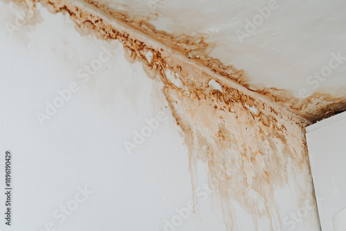Obraz na plátně streaks of dirty rusty water on white ceiling and wall, damage to sewer system,