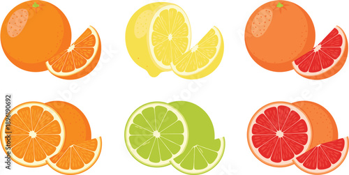Citrus Fruit Illustration Set with Orange Lemon Lime and Grapefruit Slices Isolated on White Background