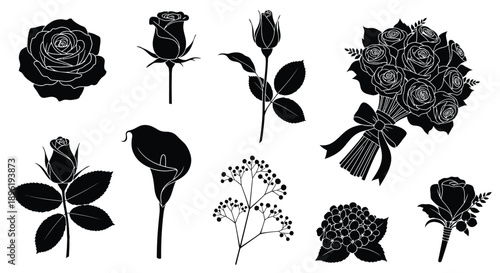 Beautiful black and white rose silhouette collection