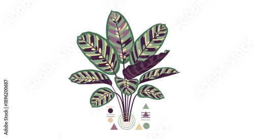 Vibrant Plant Illustration with Colorful Leaves, Purple Stem, and Abstract Shapes Viewed from Front