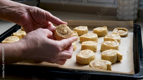 woman hands put dough cinnamon rolls shaped on oven tray for baking