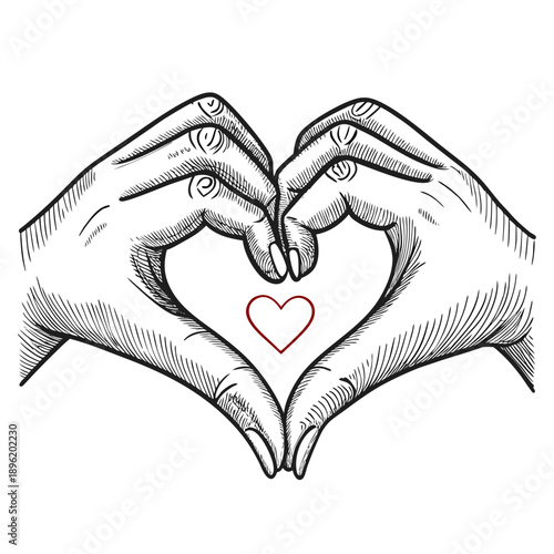 Heart held gently in caring hands vector illustration