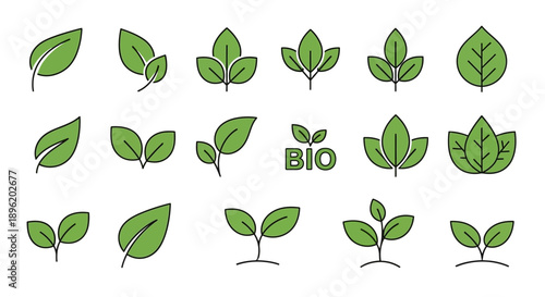 Green Leaves Vector Set, Eco and Bio Concept