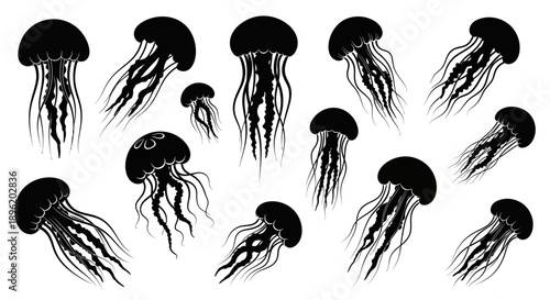Jellyfish silhouettes, marine life vector set