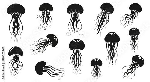 Jellyfish silhouettes, marine life concept