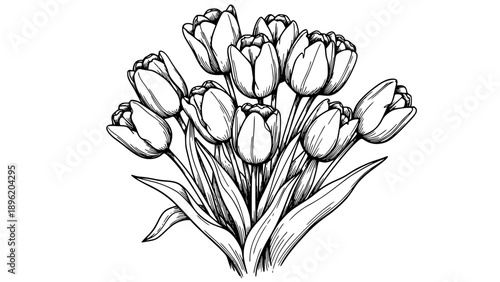 Hand drawn black and white line art illustration featuring a beautiful bouquet of classic blooming tulips with detailed foliage and stems.