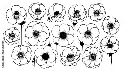 Collection of stylized black and white hand-drawn anemone flower illustrations featuring detailed centers and delicate petals.