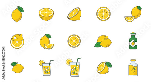 Lemon icons set. Citrus fruit vector illustrations