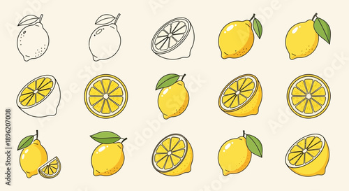 Lemon Fruit Collection: Fresh and Vibrant
