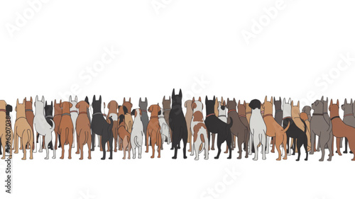 Many horses standing in a group isolated on transparent background.