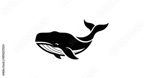 Stylized black whale illustration on white background