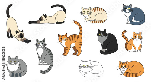 Set of funny cartoon cat silhouettes in a vector style illustration