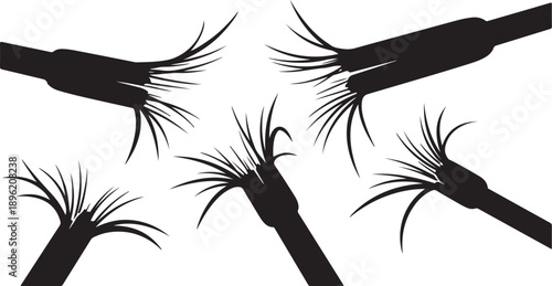 Eyelash extensions application with black tools and lashes