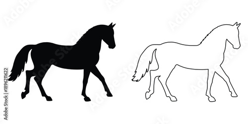 Horse silhouette vector. Running, jumping, rearing horse vector. standing horse black silhouette. Wild animal symbol vector illustration