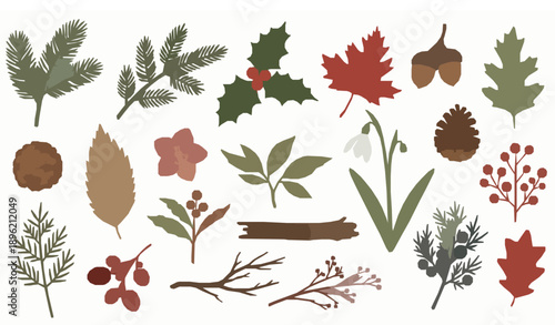 Rustic Christmas winter foliage nature elements vector set for crafts