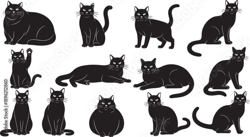 Adobe Stock Title Vector Silhouette Set of Professional Male and Female Weightlifters and Bodybuilders Performing Squats Snatch and Overhead Press for Gym Fitness and Strength Training Designs