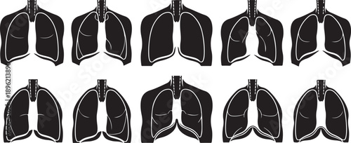 Human lungs anatomy illustrations in black and white color