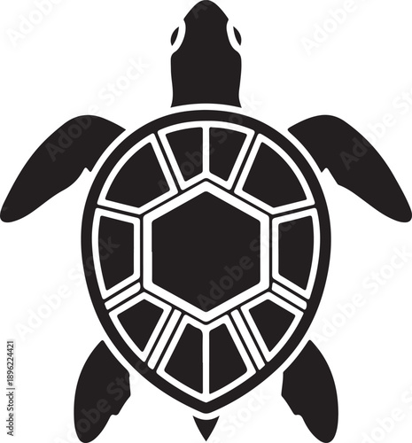 A top down view of a sea turtle, showcasing its intricate shell pattern and distinct flippers against a transparent backdrop