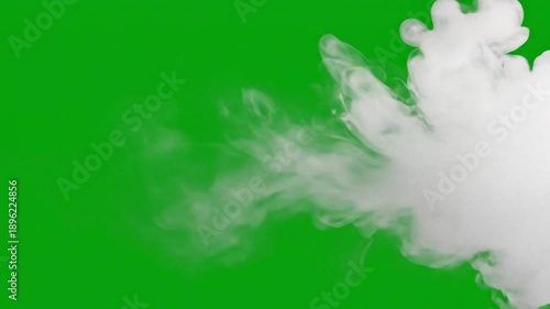 Abstract white smoke cloud on vibrant green backdrop for creative visuals