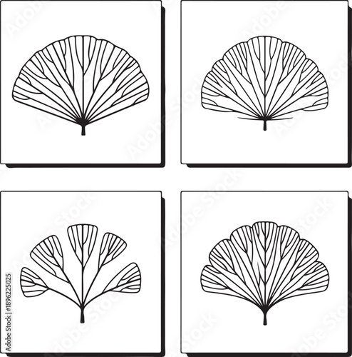 Ginkgo leaf outlines isolated on transparent background graphic design elements for decoration and illustration