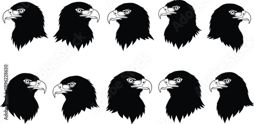 Eagle head silhouette collection, vector bald eagle profile icons, fierce bird of prey illustrations for logo, mascot, tattoo, or design