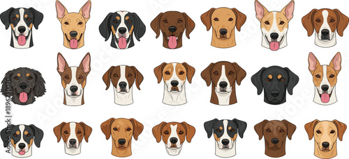 Cute dog breeds head portraits collection, flat vector canine faces set isolated on white background