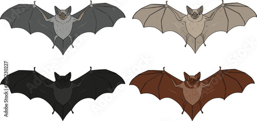 Set of hand drawn bat illustrations with open wings, nocturnal animal vector collection for halloween design