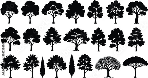 Black tree silhouettes set isolated on white background, various deciduous and conifer forest shapes for design, nature vector illustration stock