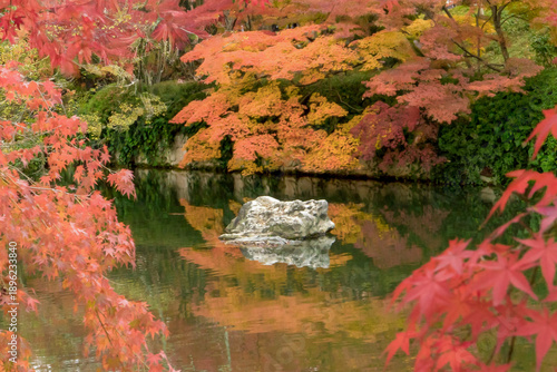 Serene autumn landscape with red maple leaves and pond reflection”