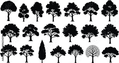 Fruit tree illustration set with lemon, apple, cherry, raspberry, pear, orange and plum trees, colorful orchard icons on white background