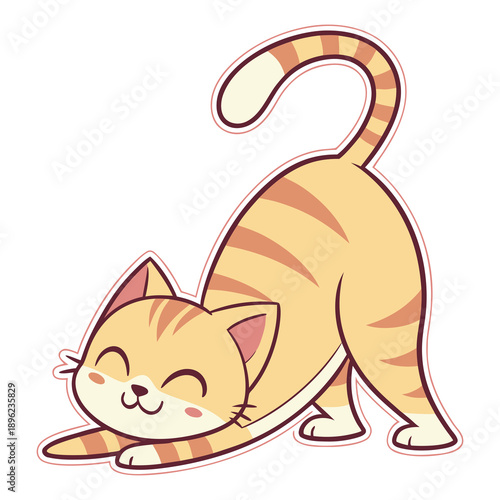 Cute cat stretching body in morning sunlight